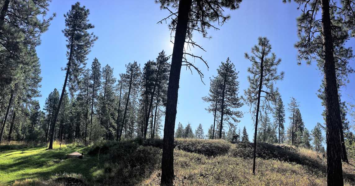 4302 West Pinto Road Cheney, WA 99004 - Photo 17 of 20