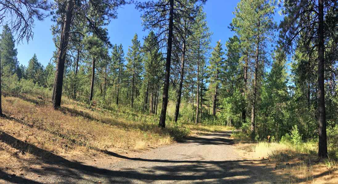 4302 West Pinto Road Cheney, WA 99004 - Photo 18 of 20