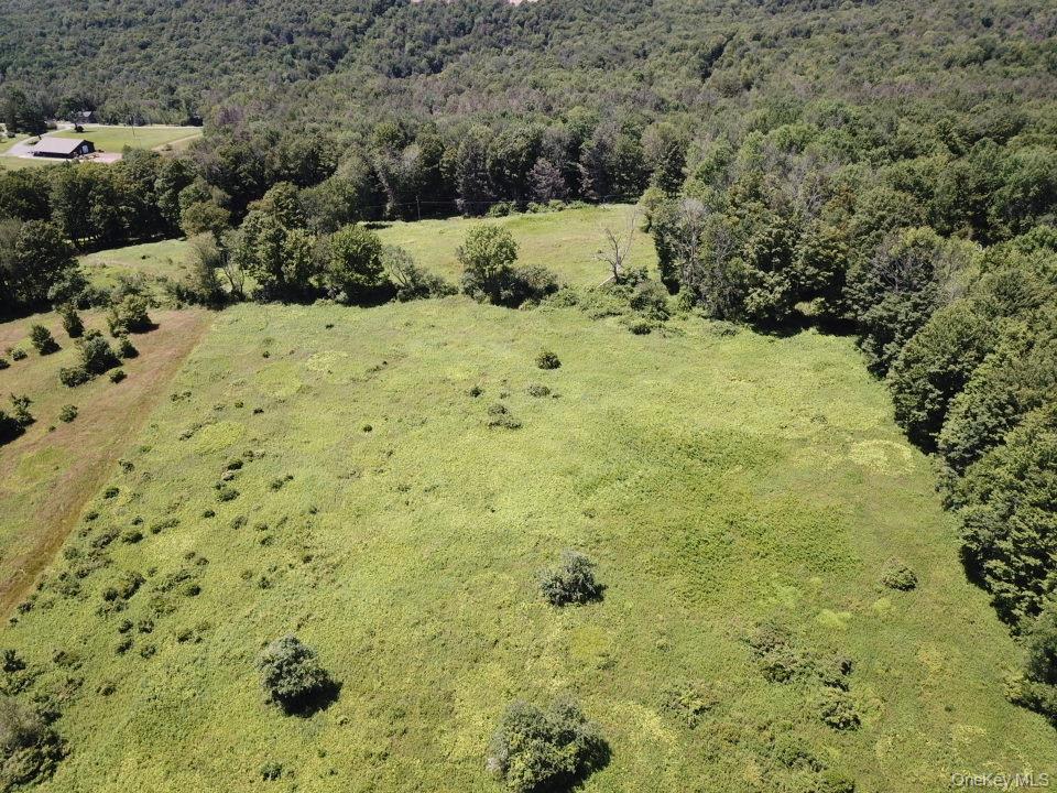 Tbd Ahrens Road Parksville, NY 12768 - Photo 12 of 22 a view of a yard with trees
