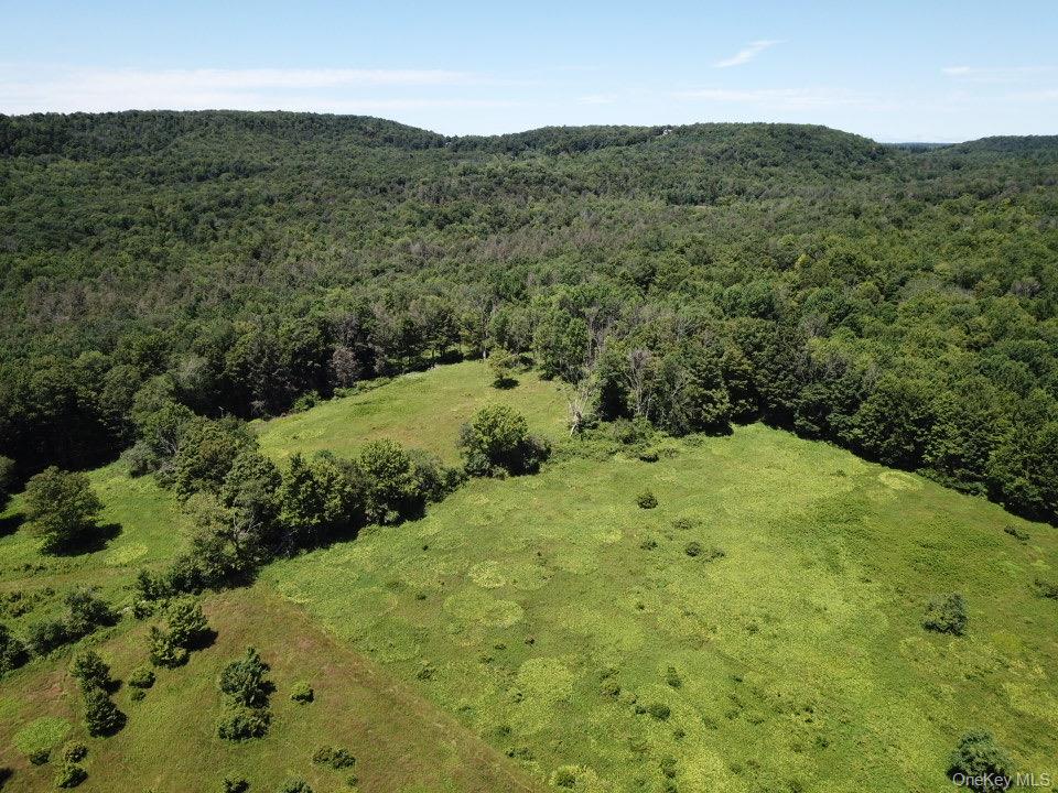 Tbd Ahrens Road Parksville, NY 12768 - Photo 13 of 22 a view of a mountain in the distance in a field