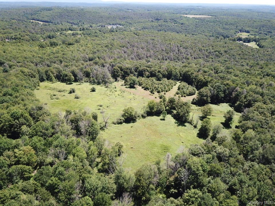 Tbd Ahrens Road Parksville, NY 12768 - Photo 14 of 22 a view of a dry yard covered with trees