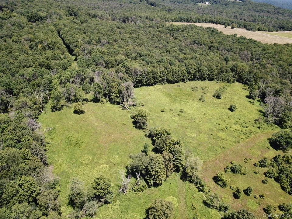Tbd Ahrens Road Parksville, NY 12768 - Photo 15 of 22