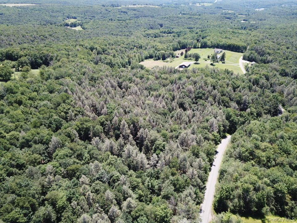 Tbd Ahrens Road Parksville, NY 12768 - Photo 16 of 22 an aerial view of multiple house
