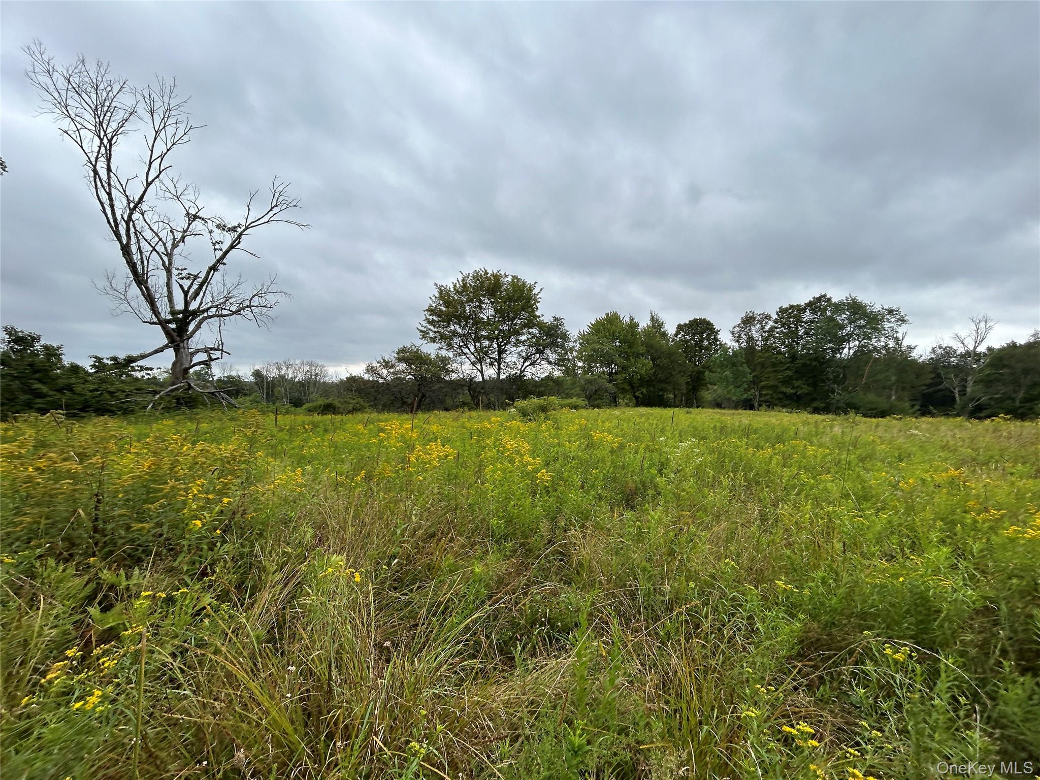Tbd Ahrens Road Parksville, NY 12768 - Photo 17 of 22 a backyard of a house with lots of green space