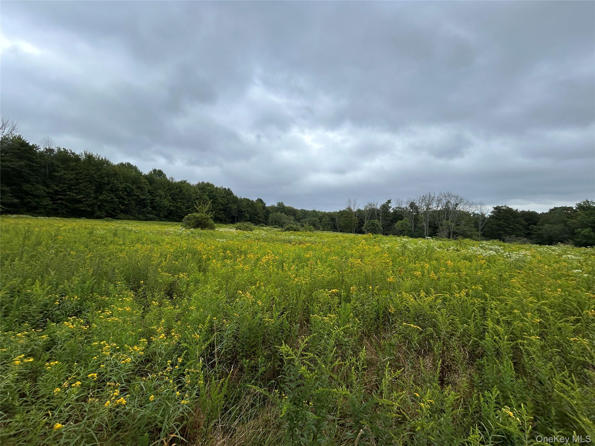 Tbd Ahrens Road Parksville, NY 12768 - Photo 18 of 22 a view of a city with lush green forest