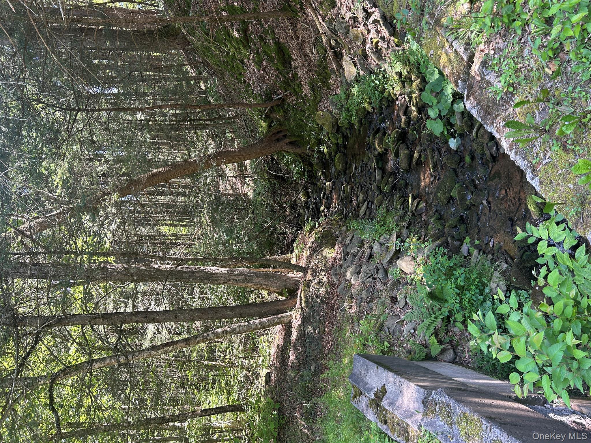 Tbd Ahrens Road Parksville, NY 12768 - Photo 2 of 22 a backyard of a house with lots of green space