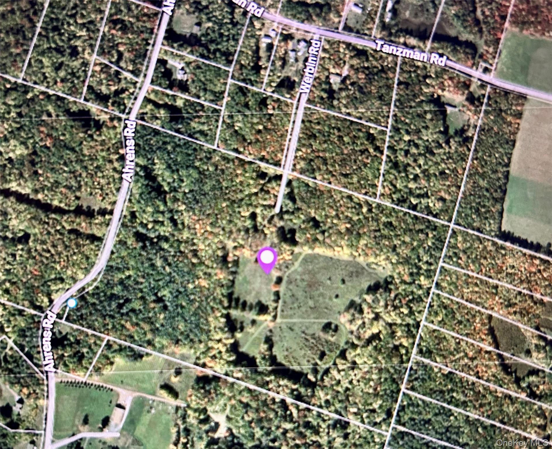 Tbd Ahrens Road Parksville, NY 12768 - Photo 21 of 22