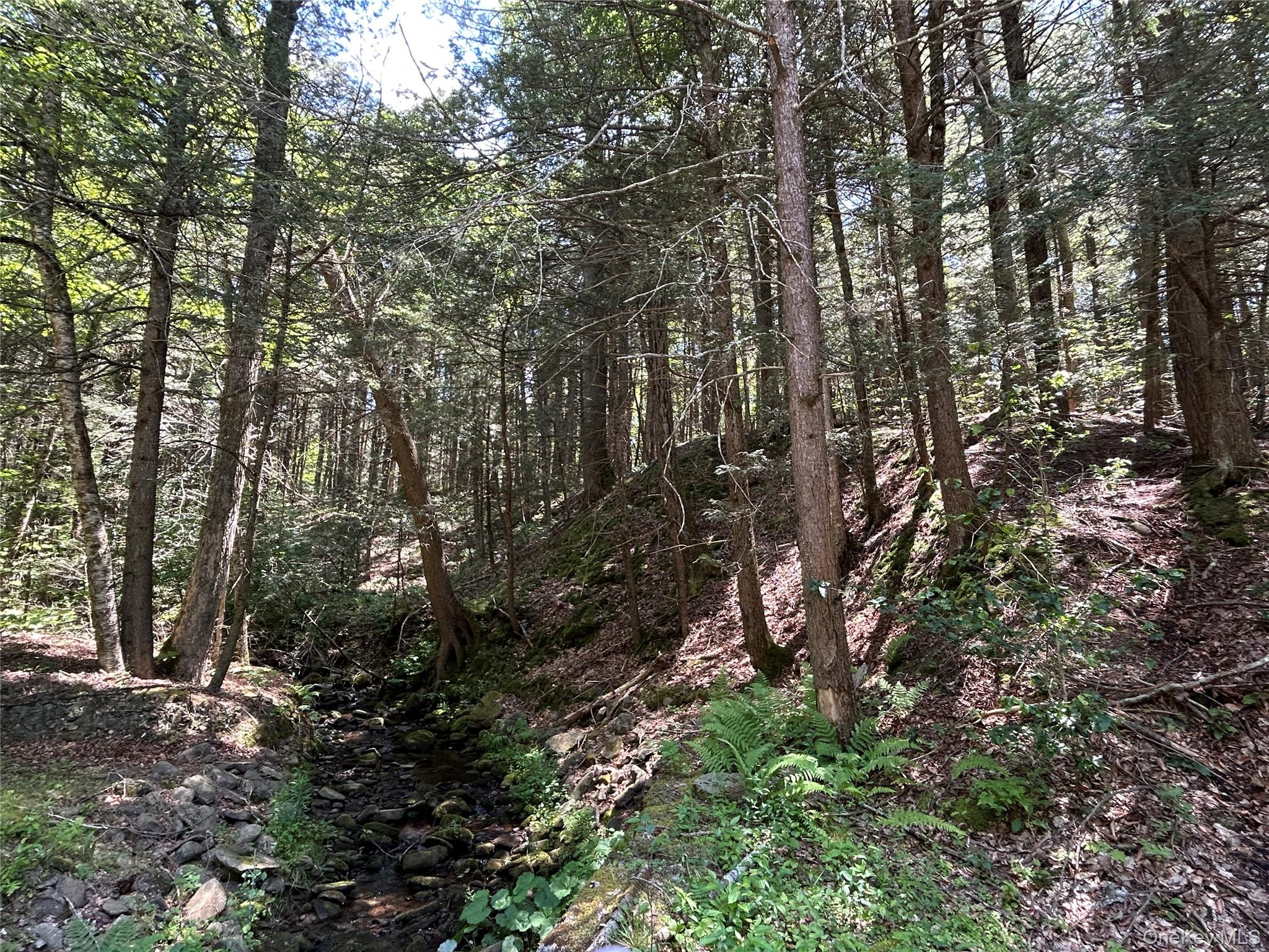 Tbd Ahrens Road Parksville, NY 12768 - Photo 3 of 22