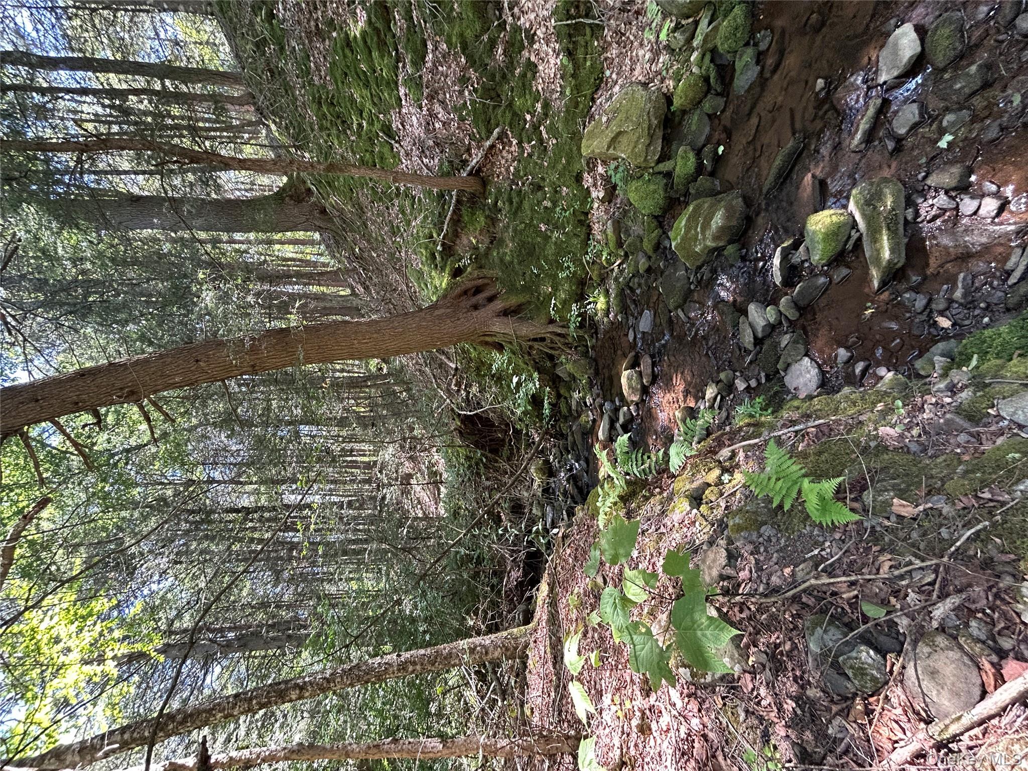 Tbd Ahrens Road Parksville, NY 12768 - Photo 4 of 22 a backyard of a house with lots of green space