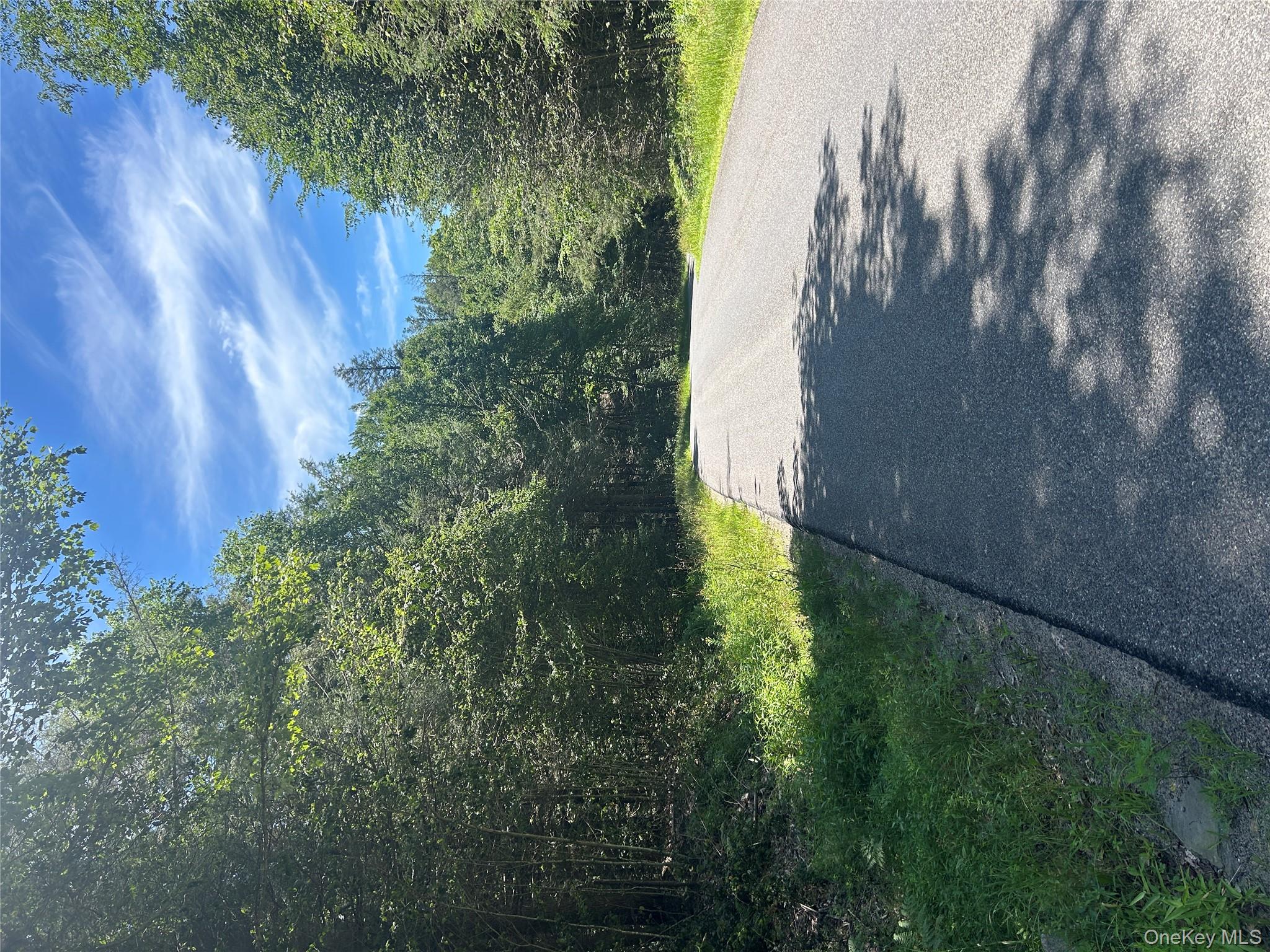 Tbd Ahrens Road Parksville, NY 12768 - Photo 5 of 22 a view of a yard