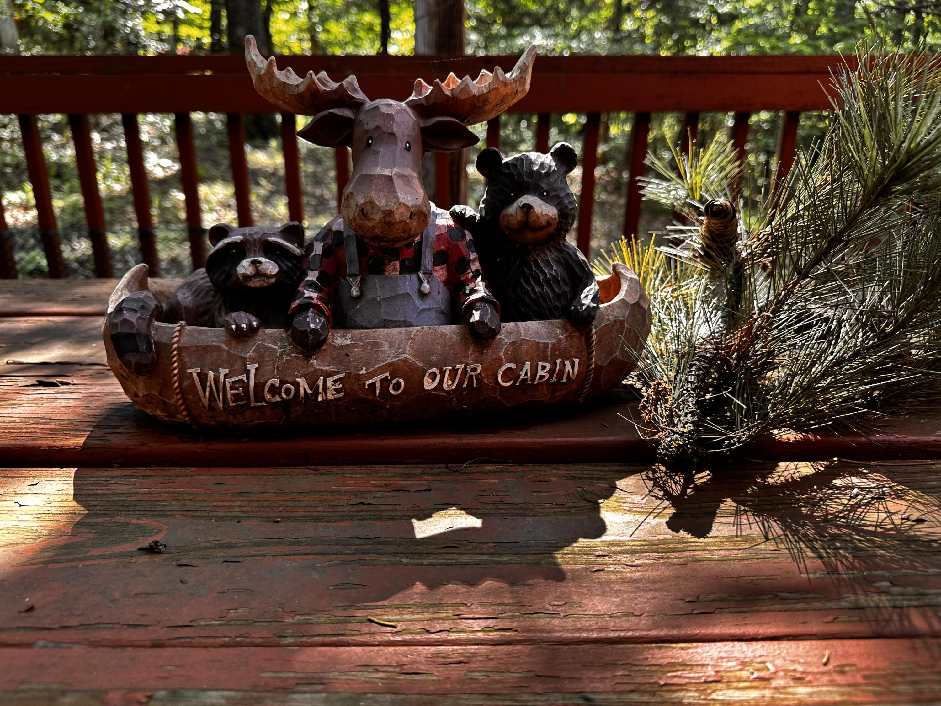 264 Oakridge Road Branson, MO 65616 - Photo 3 of 42 IMG_4351