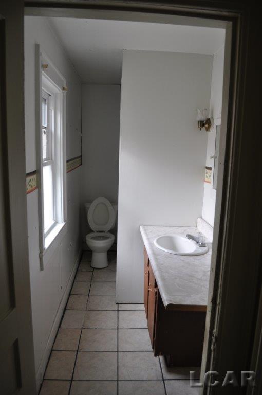 133 Union Street Adrian, MI 49221 - Photo 23 of 29