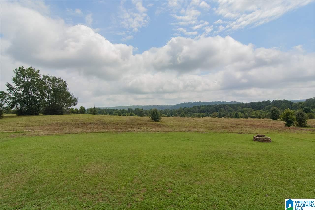 515 Willow Branch Road Odenville, AL 35120 - Photo 36 of 36
