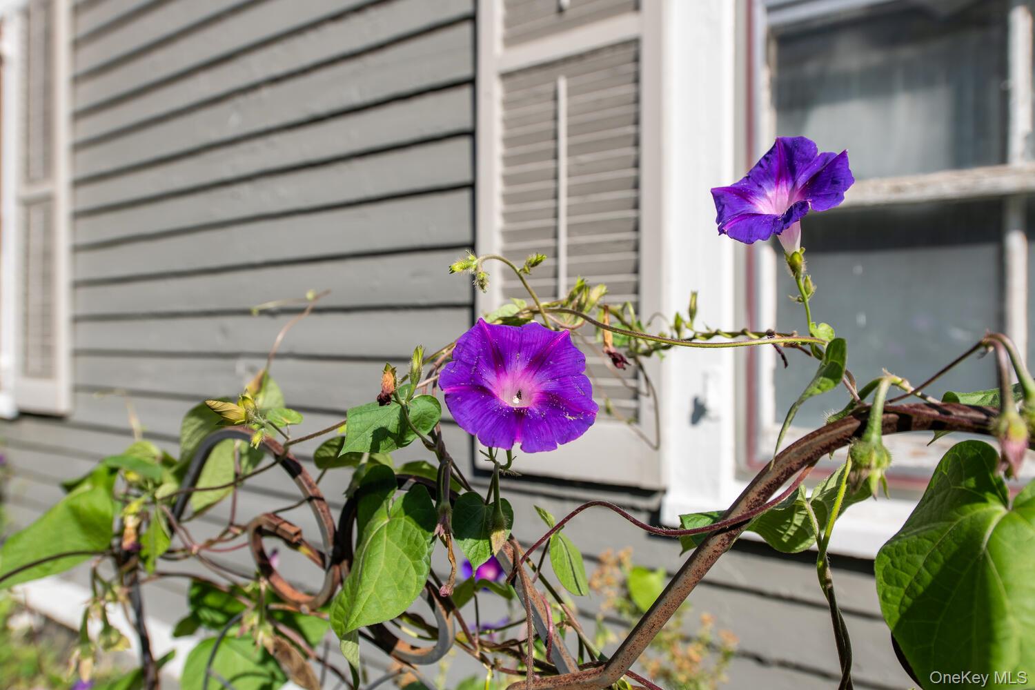21 Prospect Street Brewster, NY 10509 - Photo 44 of 47 a view of entryway