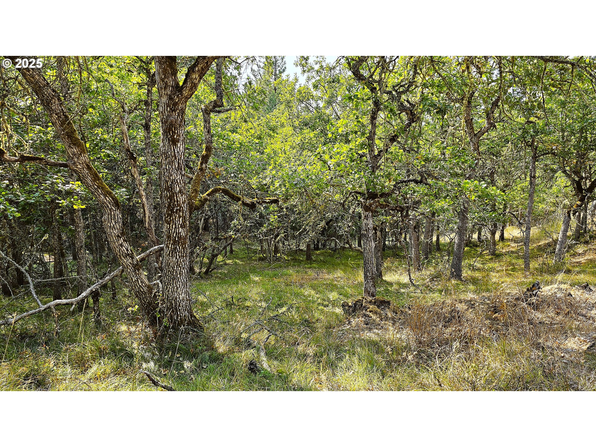 Richard Road, Unit P1L5 The Dalles, OR 97058 - Photo 2 of 24 Gallery Image 2