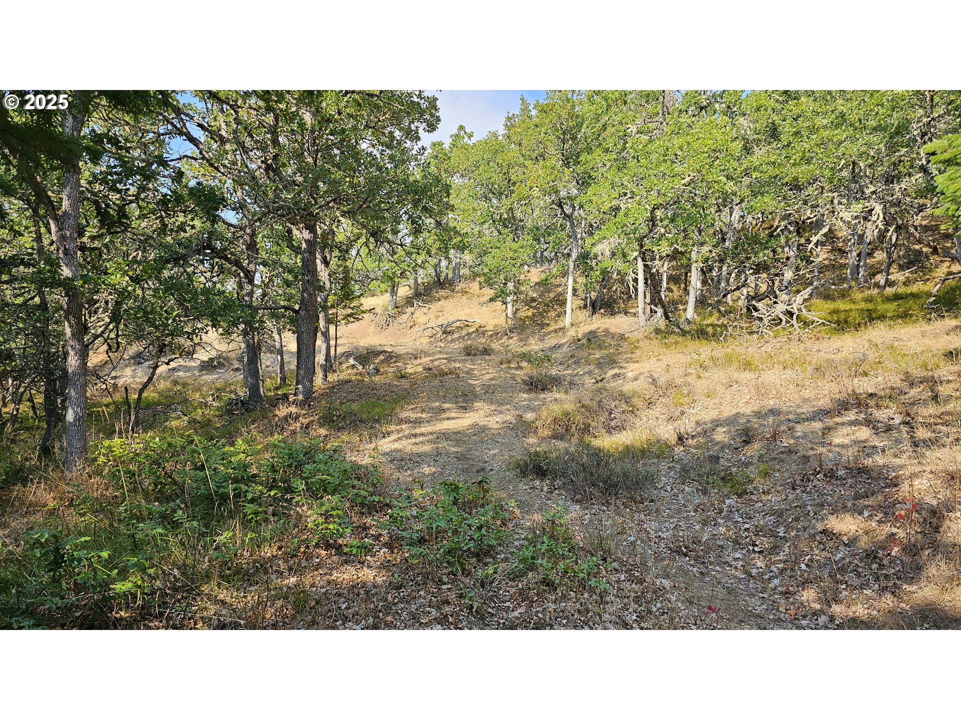 Richard Road, Unit P1L5 The Dalles, OR 97058 - Photo 24 of 24 Gallery Image 24