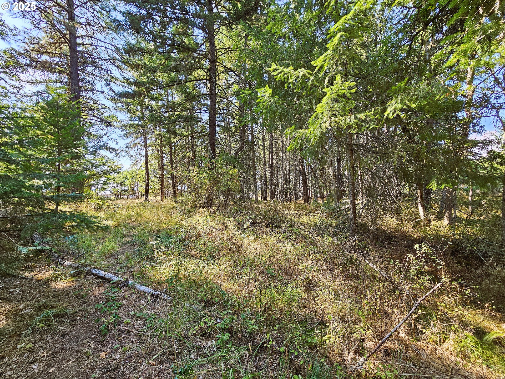 Richard Road, Unit P1L5 The Dalles, OR 97058 - Photo 3 of 24 Gallery Image 3