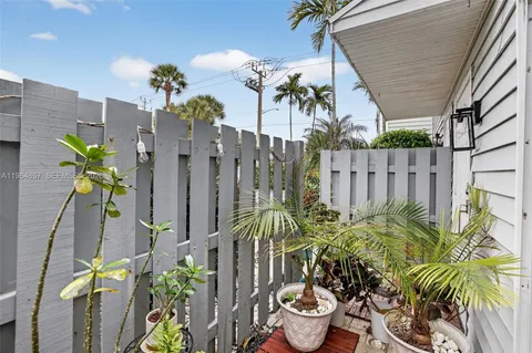 a view of a flower in the garden