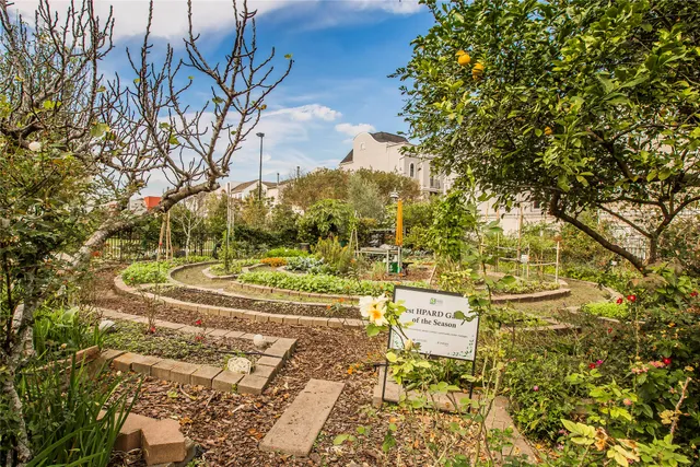 a view of yard along with trees