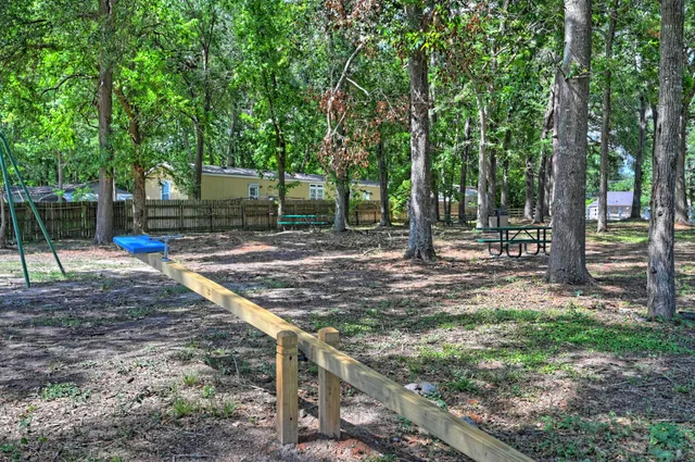 a view of a park with large trees
