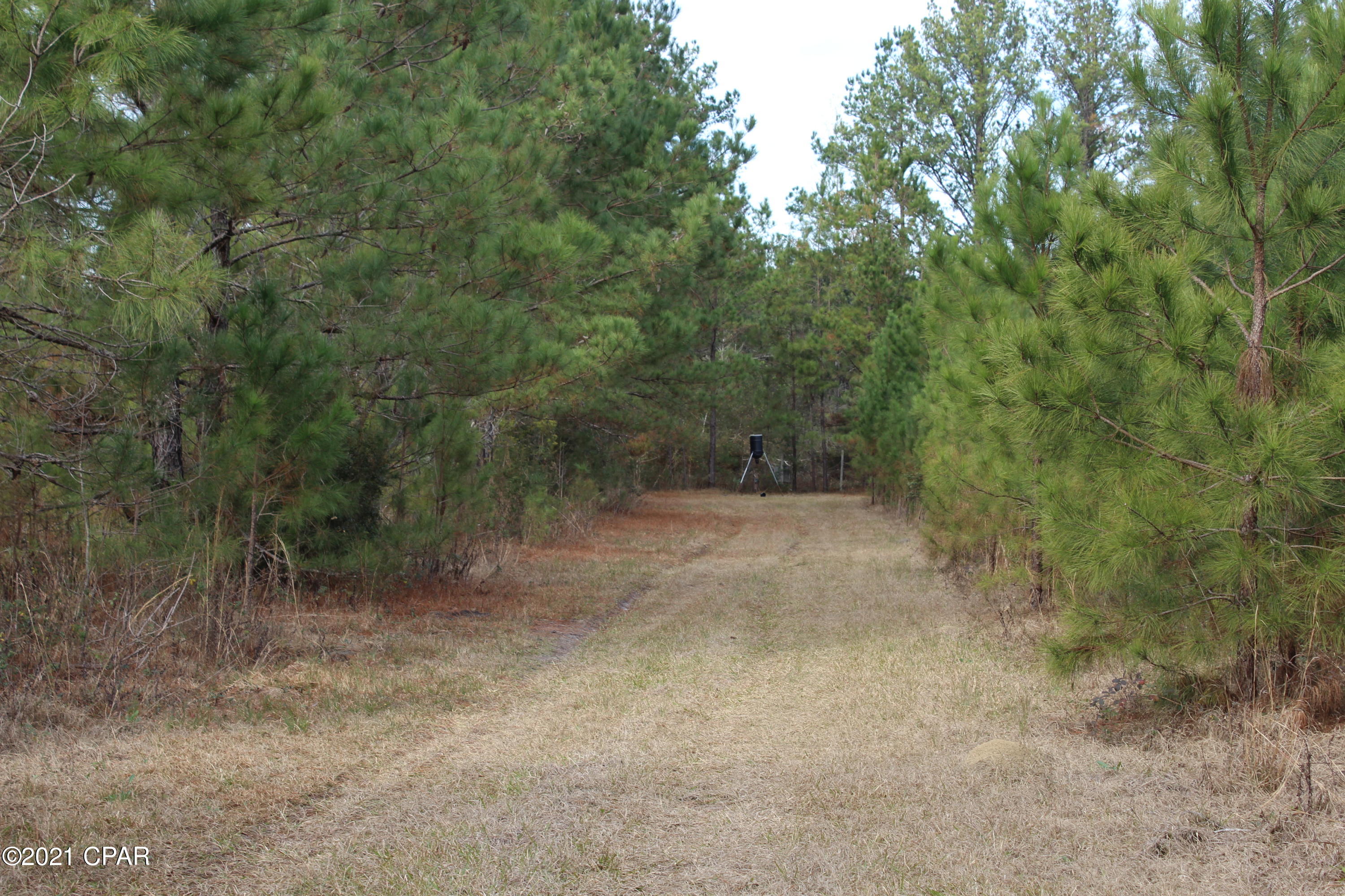 3525 Spool Mill Road Vernon, FL 32462 - Photo 48 of 54 Gallery Image 48
