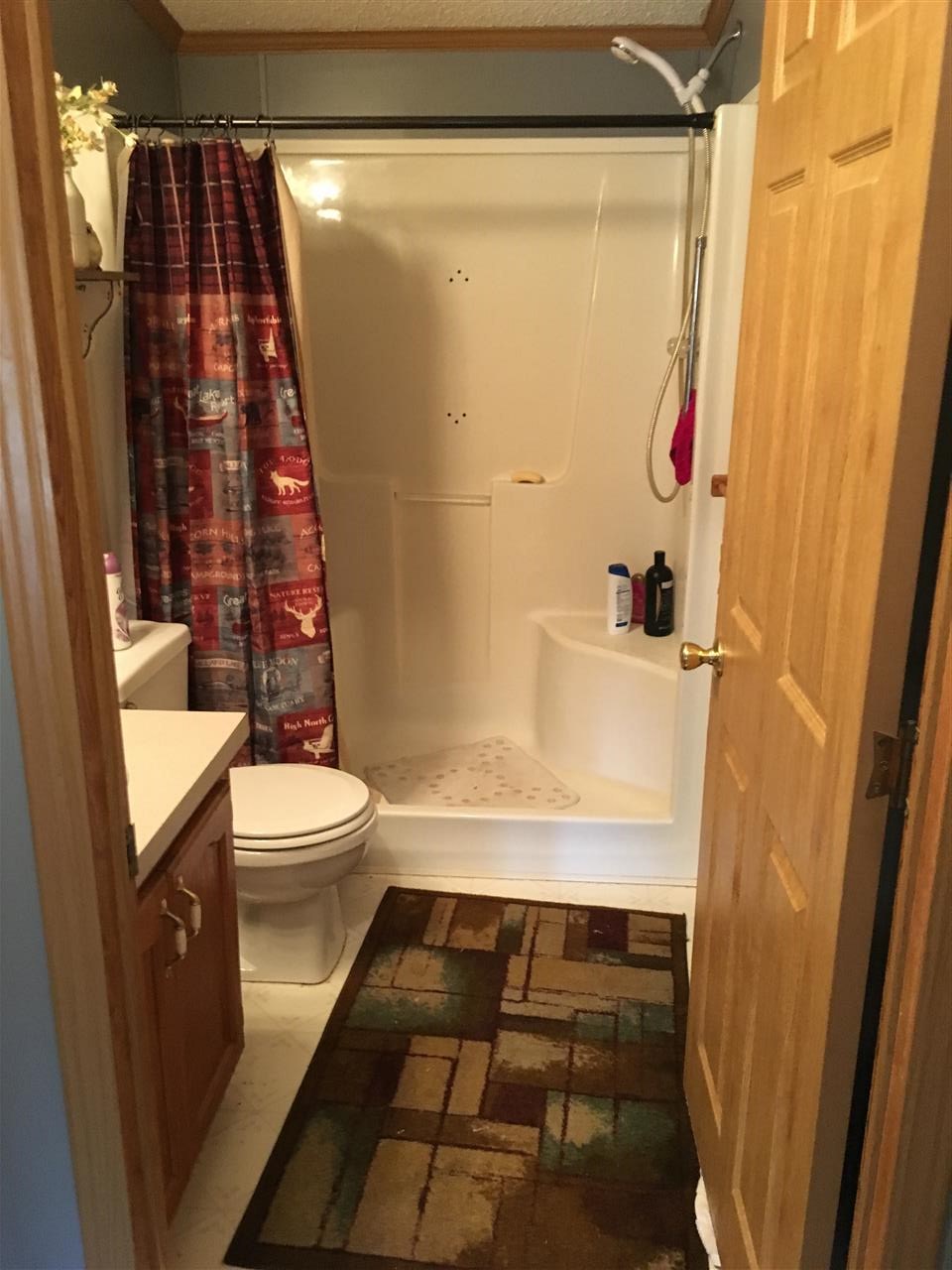 1860 Deep River Road Standish, MI 48658 - Photo 36 of 58 1868975-36.JPG