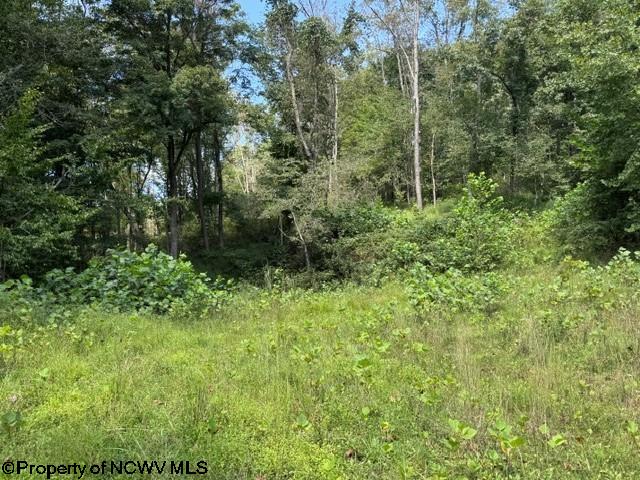 Tbd Hagans Road Rivesville, WV 26588 - Photo 4 of 21 Gallery Image 4