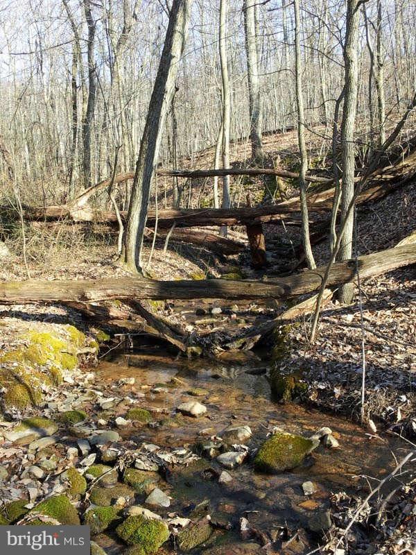 1132 Shanghai Road Berkeley Springs, WV 25411 - Photo 22 of 30 View