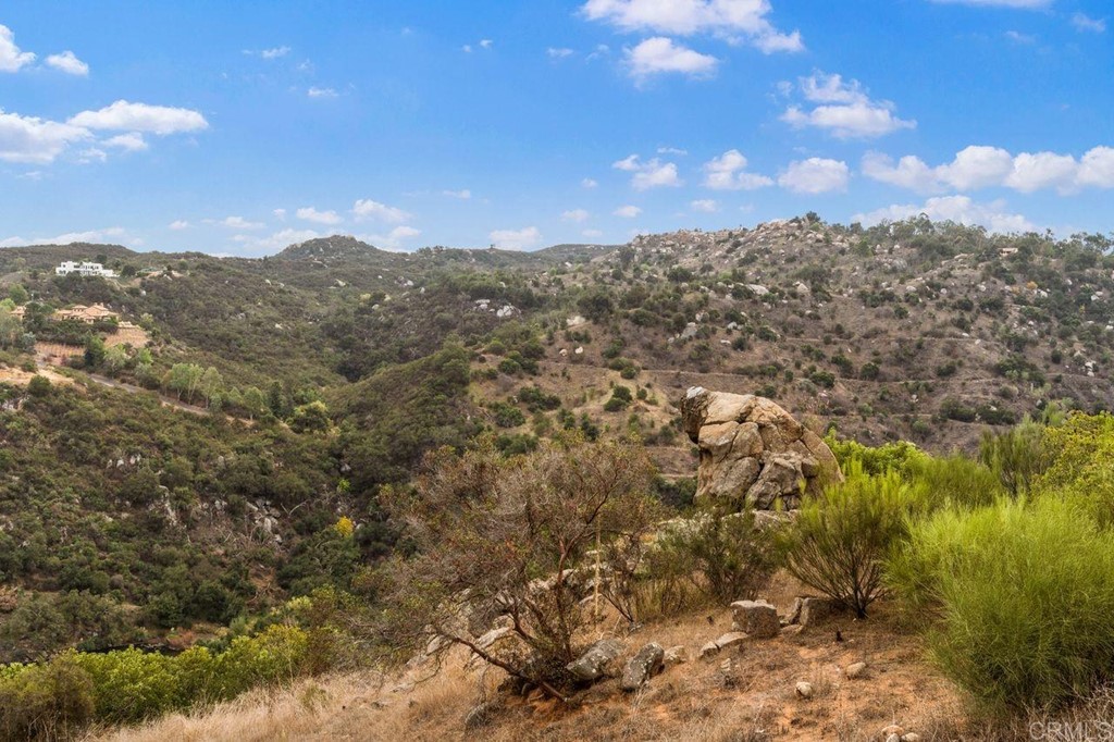 10363 Hidden Meadows Road Escondido, CA 92026 - Photo 54 of 65