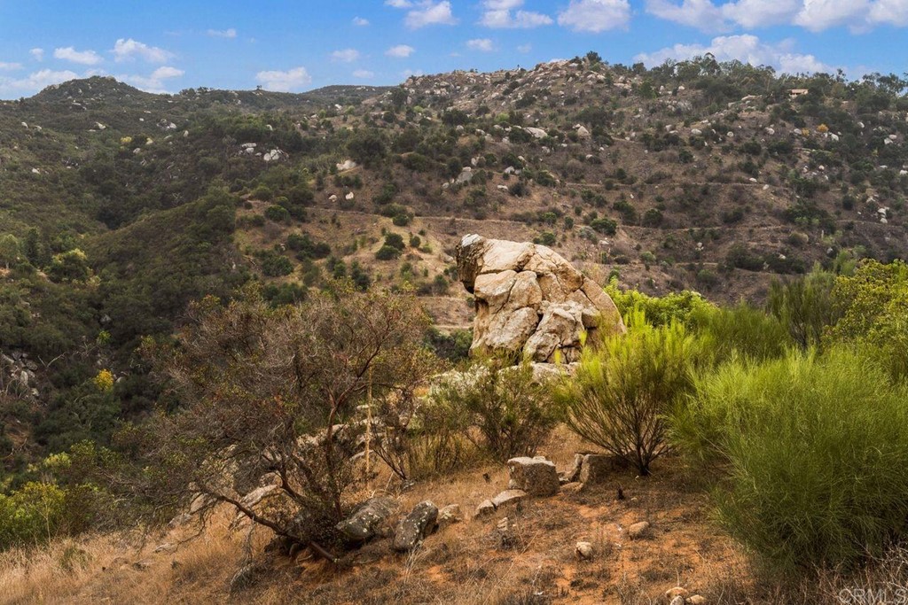 10363 Hidden Meadows Road Escondido, CA 92026 - Photo 61 of 65 a view of a city