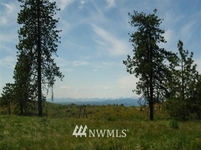 372B Cameron Lake Loop Road, Unit C Okanogan, WA 98840 - Photo 1 of 1 Gallery Image 1