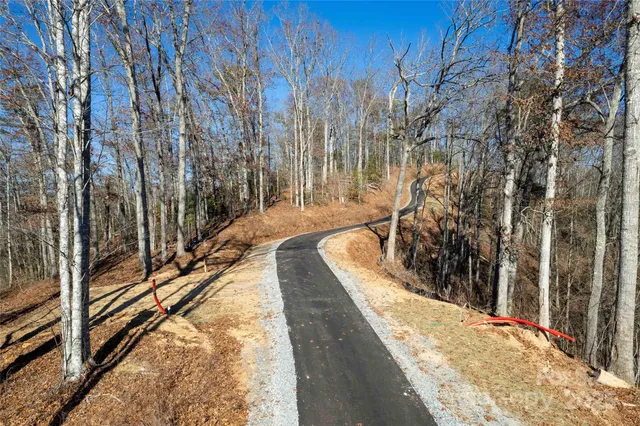 a view of a lake with large trees