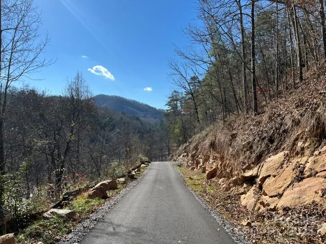 a view of a bunch of trees and bushes