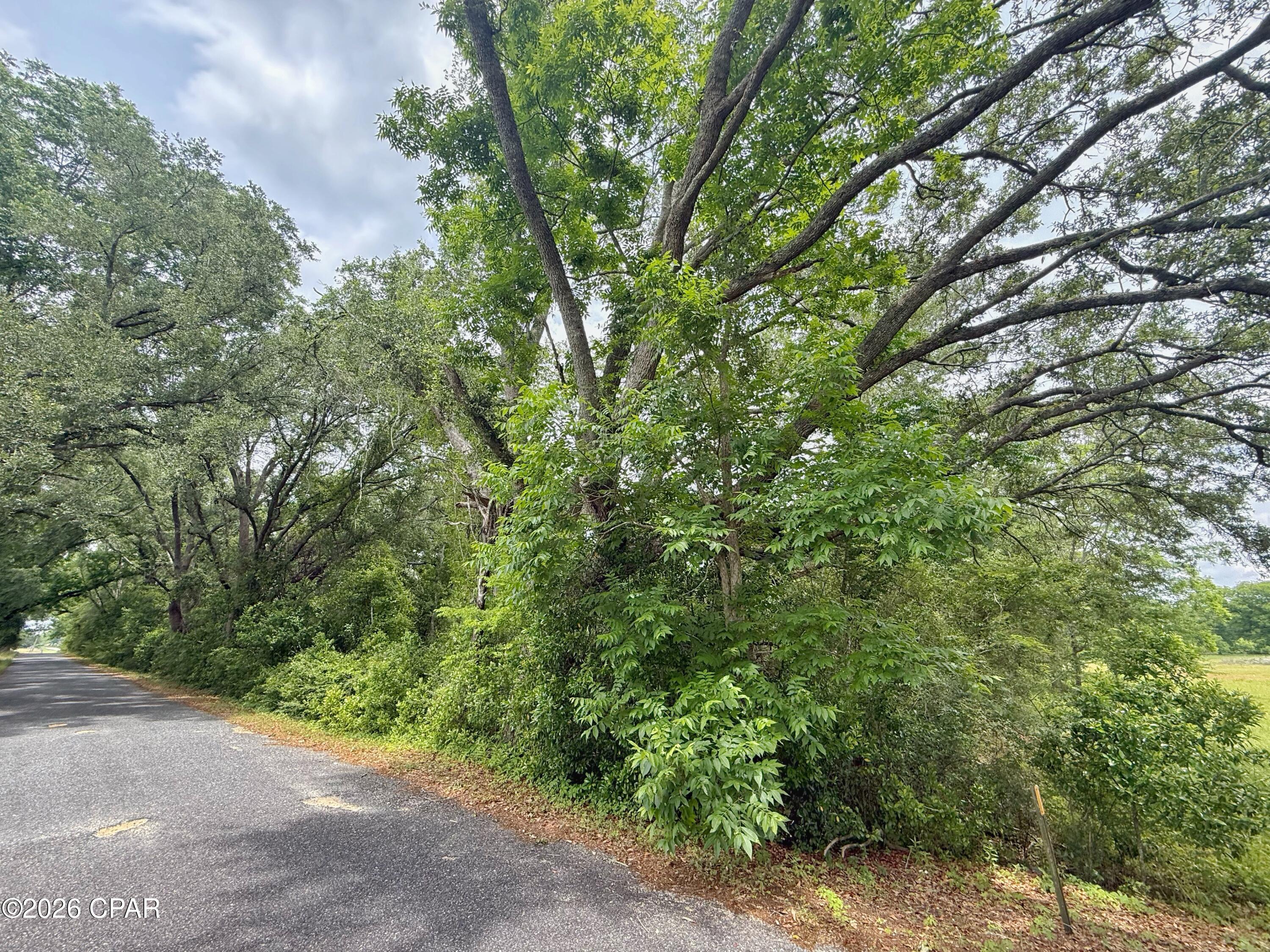 5107 Cloverdale Road Graceville, FL 32440 - Photo 11 of 21