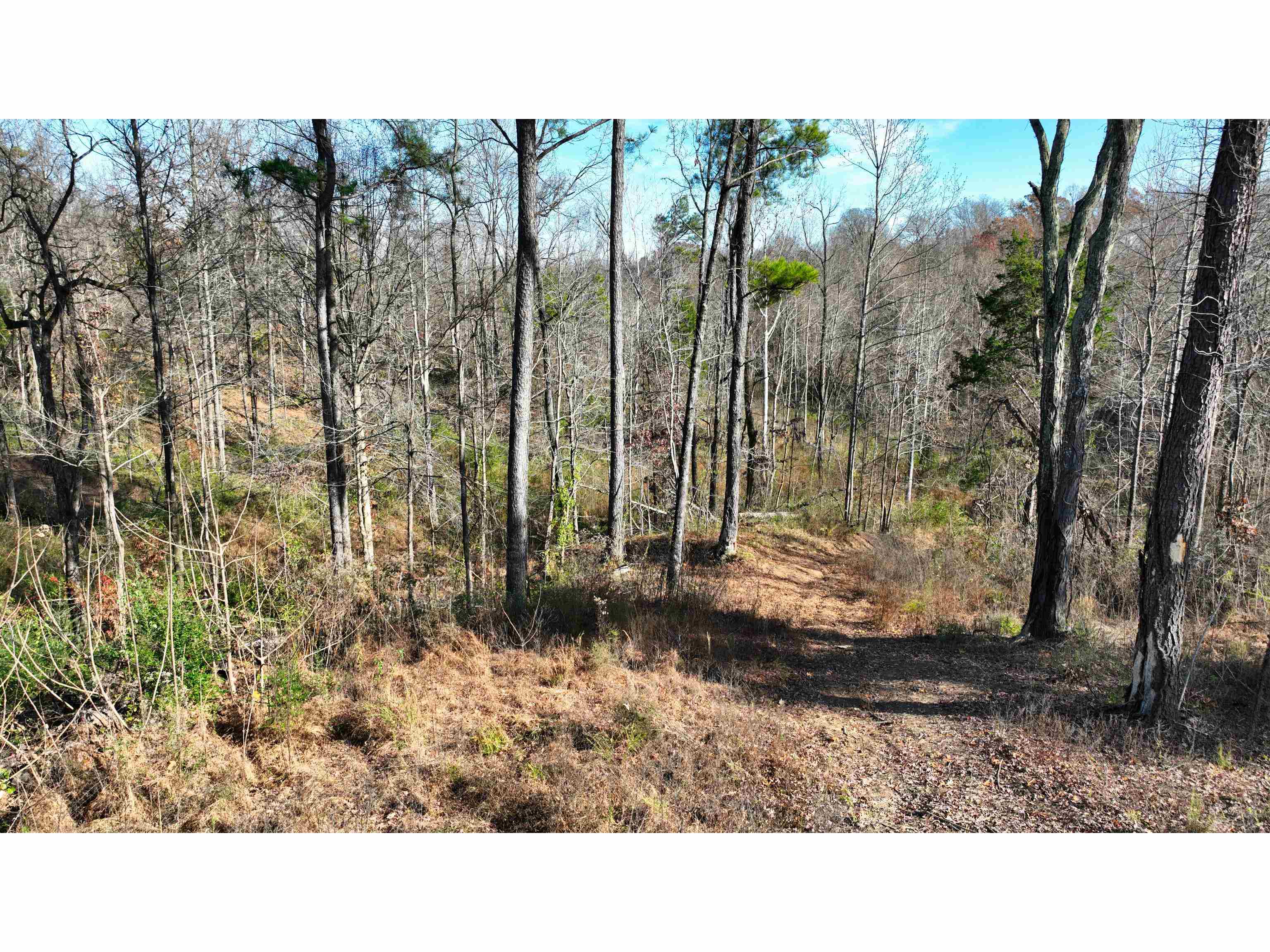 Munford Giltedge Road Burlison, TN 38015 - Photo 8 of 16