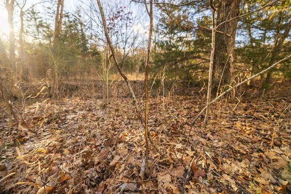 $540,000 | 25594 Hidden Valley Avenue, Warsaw, MO 65355