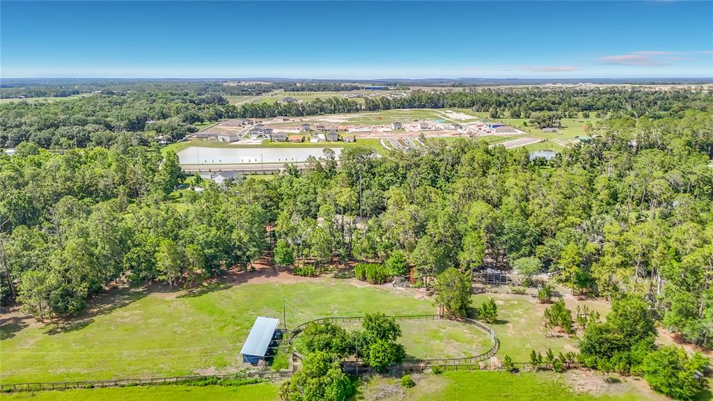8338 Handcart Road Dade City, FL 33525 - Photo 89 of 96