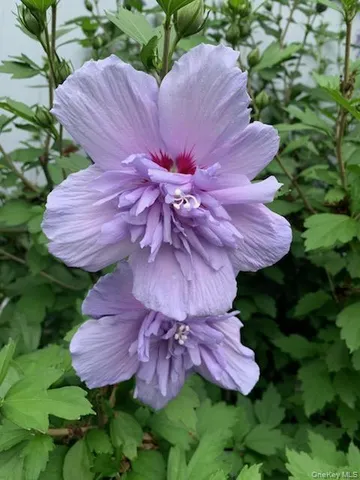 $165,000 | 703 Fresh Pond Avenue, Unit 175, Calverton, NY 11933