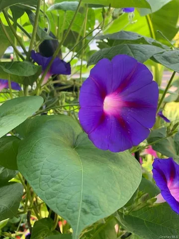 $165,000 | 703 Fresh Pond Avenue, Unit 175, Calverton, NY 11933