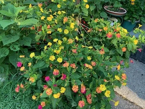 $165,000 | 703 Fresh Pond Avenue, Unit 175, Calverton, NY 11933