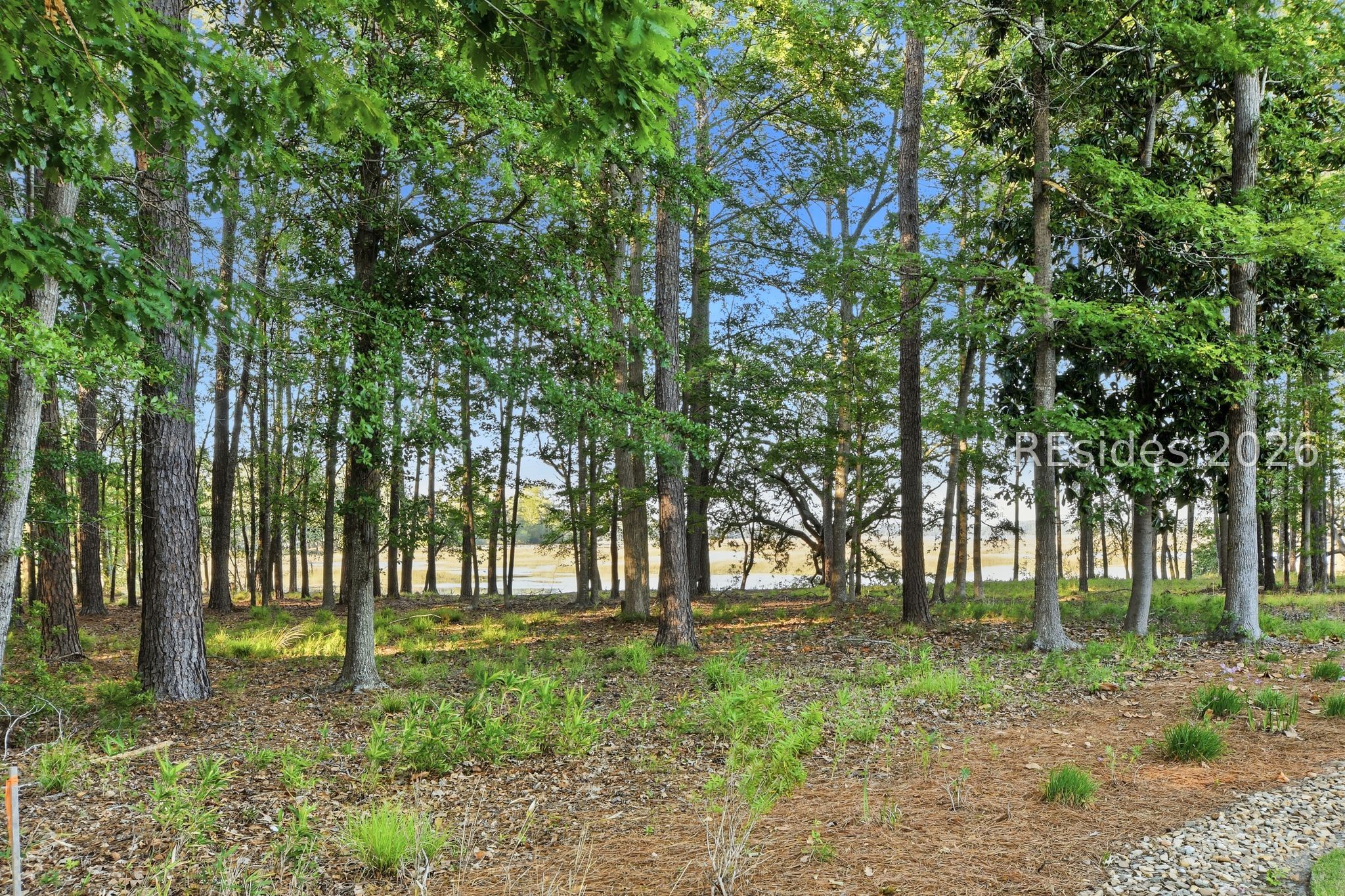 146 Cutter Circle Bluffton, SC 29909 - Photo 37 of 48