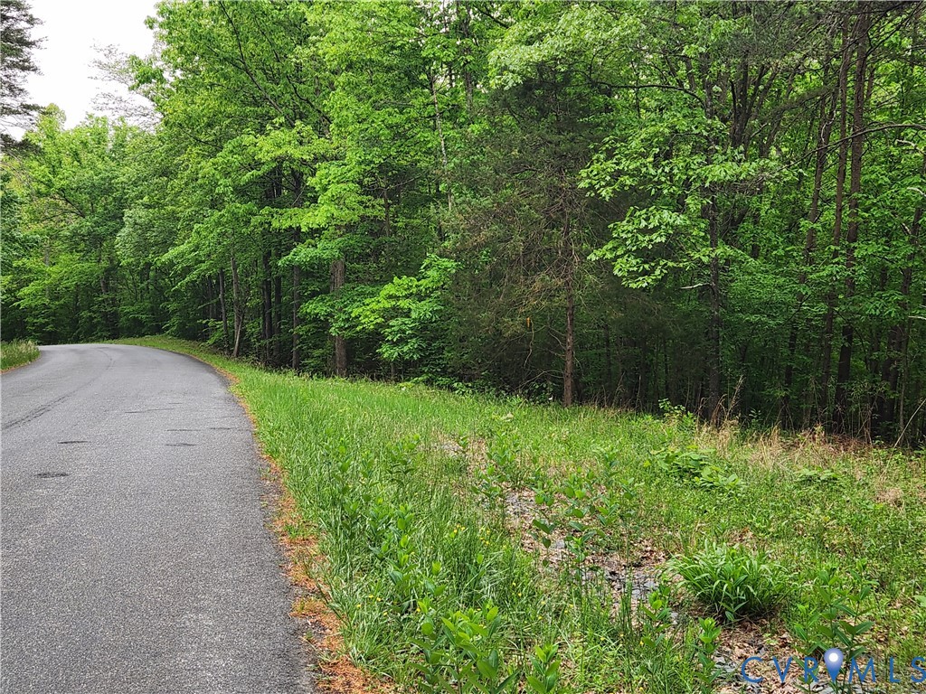 0 Bryants Ford Road Fork Union, VA 23055 - Photo 4 of 14 Long road frontage along Bryants Ford Rd.
