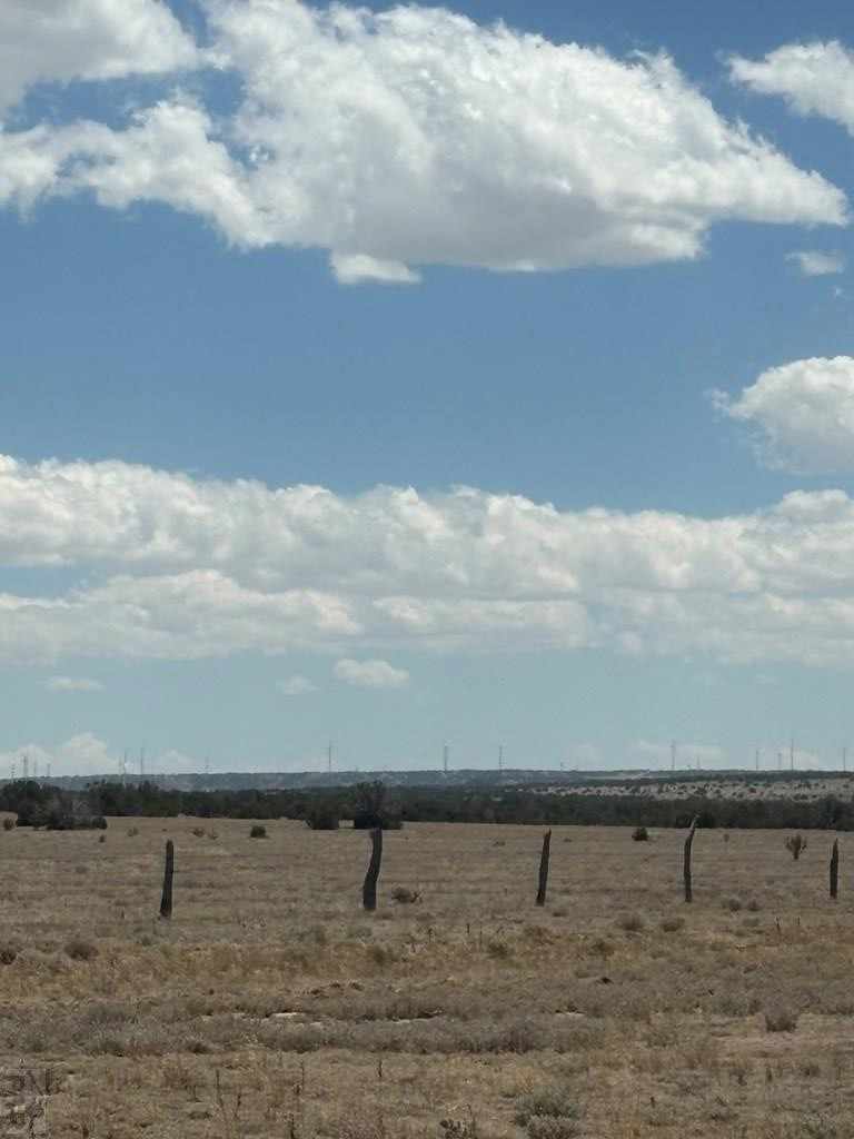 222-224 Turkey Ridge Ranch Walsenburg, CO 81089 - Photo 3 of 13