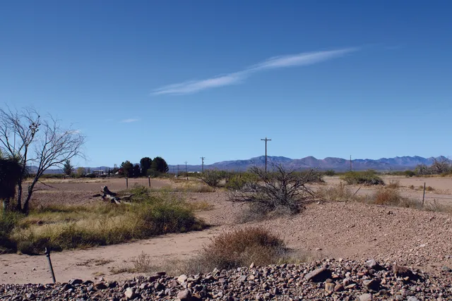 a view of a city with tall trees