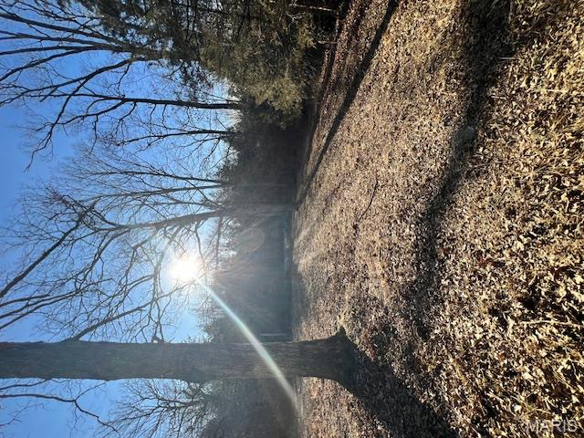 10827 Scout Camp Road Bismarck, MO 63624 - Photo 16 of 23