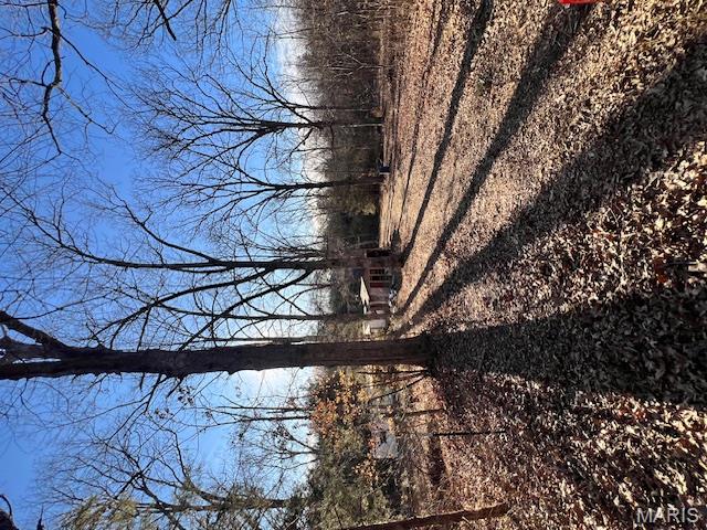 10827 Scout Camp Road Bismarck, MO 63624 - Photo 17 of 23