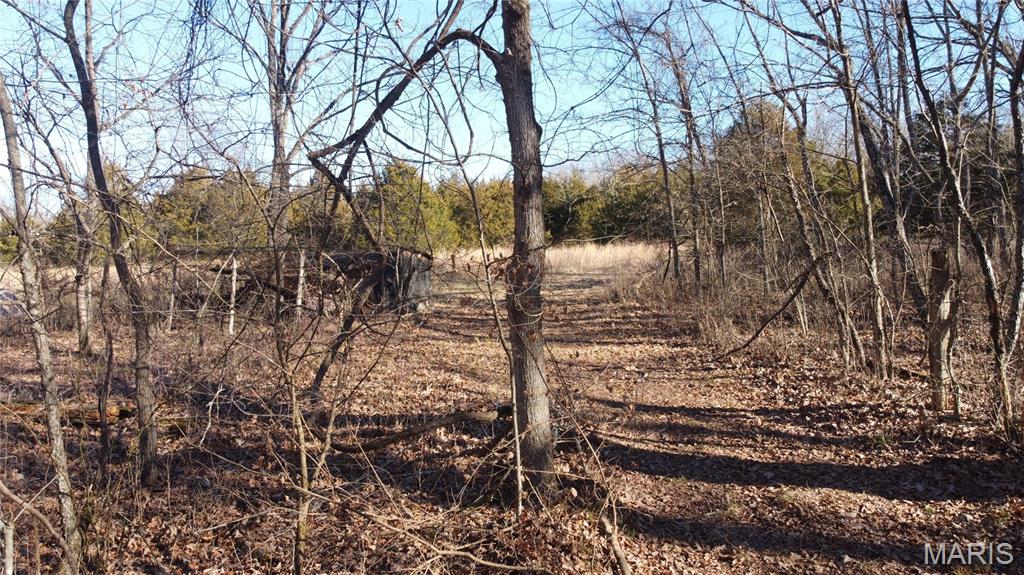 10827 Scout Camp Road Bismarck, MO 63624 - Photo 2 of 23