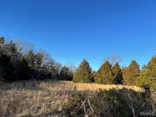 10827 Scout Camp Road Bismarck, MO 63624 - Photo 21 of 23