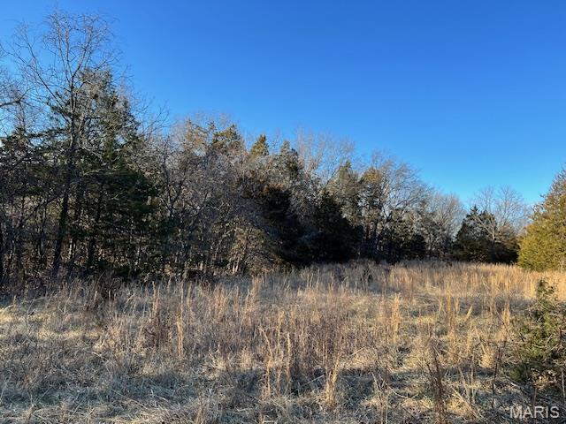 10827 Scout Camp Road Bismarck, MO 63624 - Photo 22 of 23