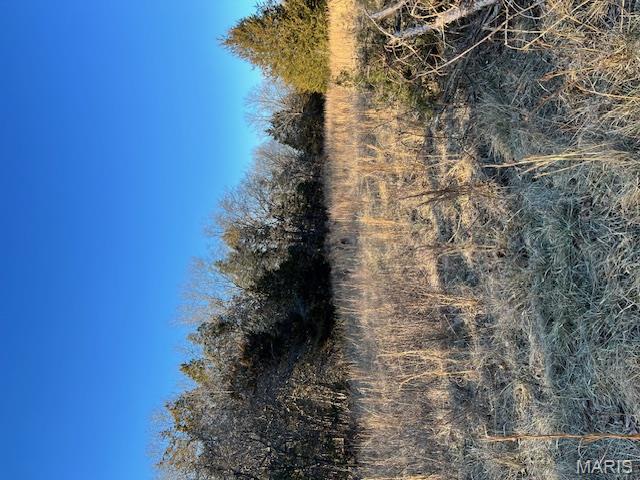 10827 Scout Camp Road Bismarck, MO 63624 - Photo 23 of 23